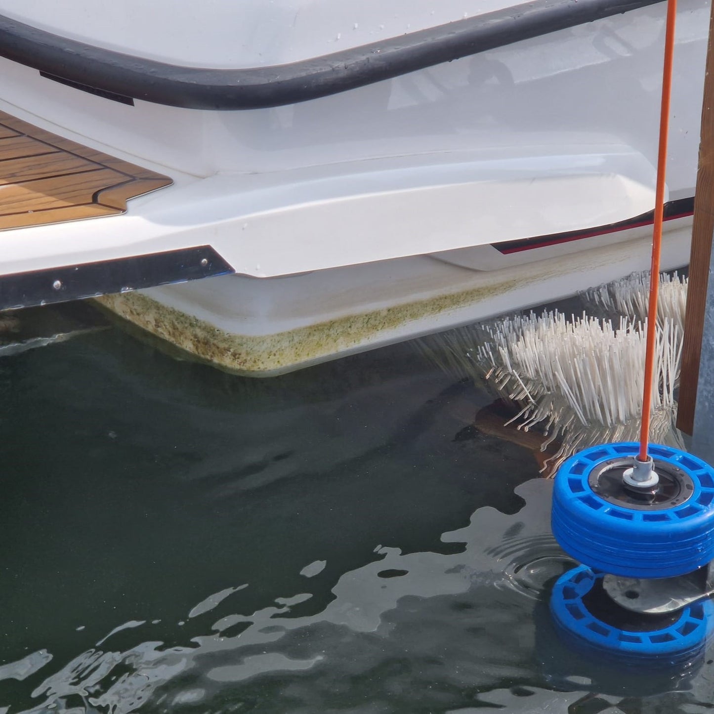 Brush Station boatwash